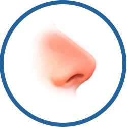 더웰병원 코 재 수술