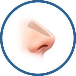 더웰병원 코 재 수술
