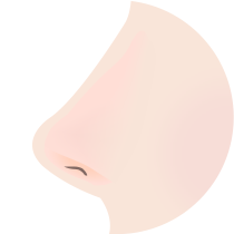 더웰병원 낮은코 수술 방법
